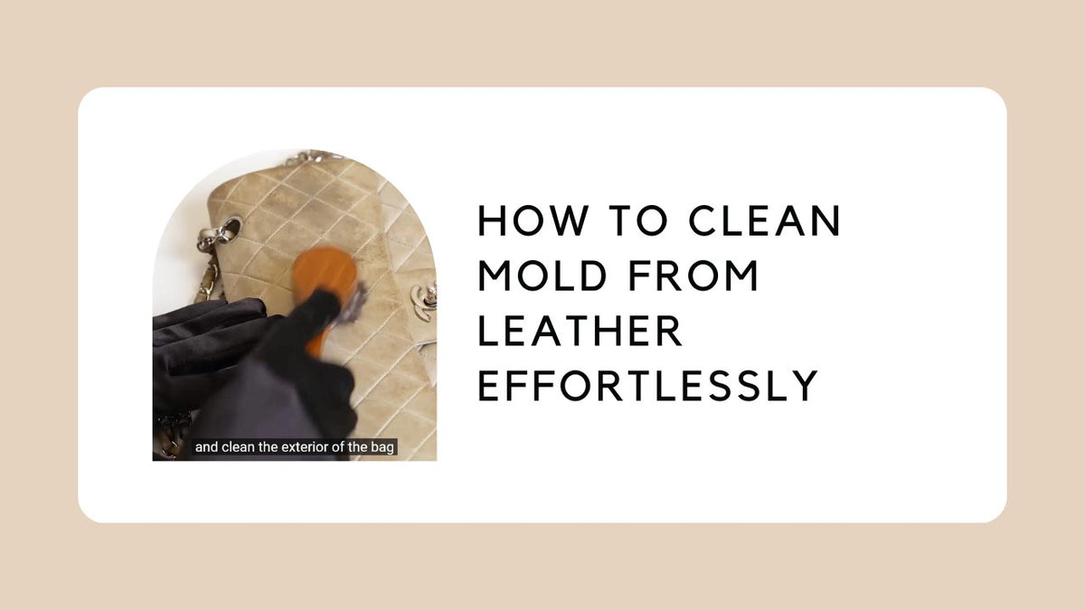 Clean Mold from Leather Effortlessly