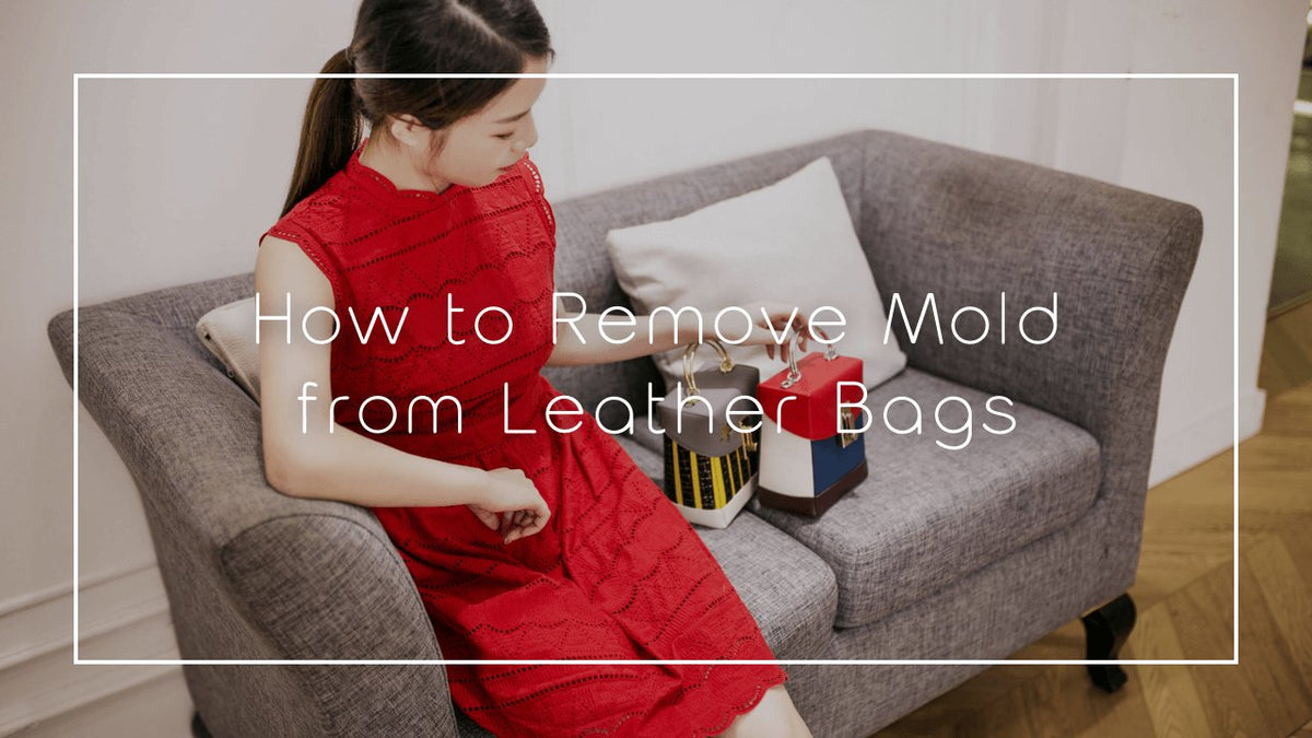 How to Remove Mold from Leather Bags