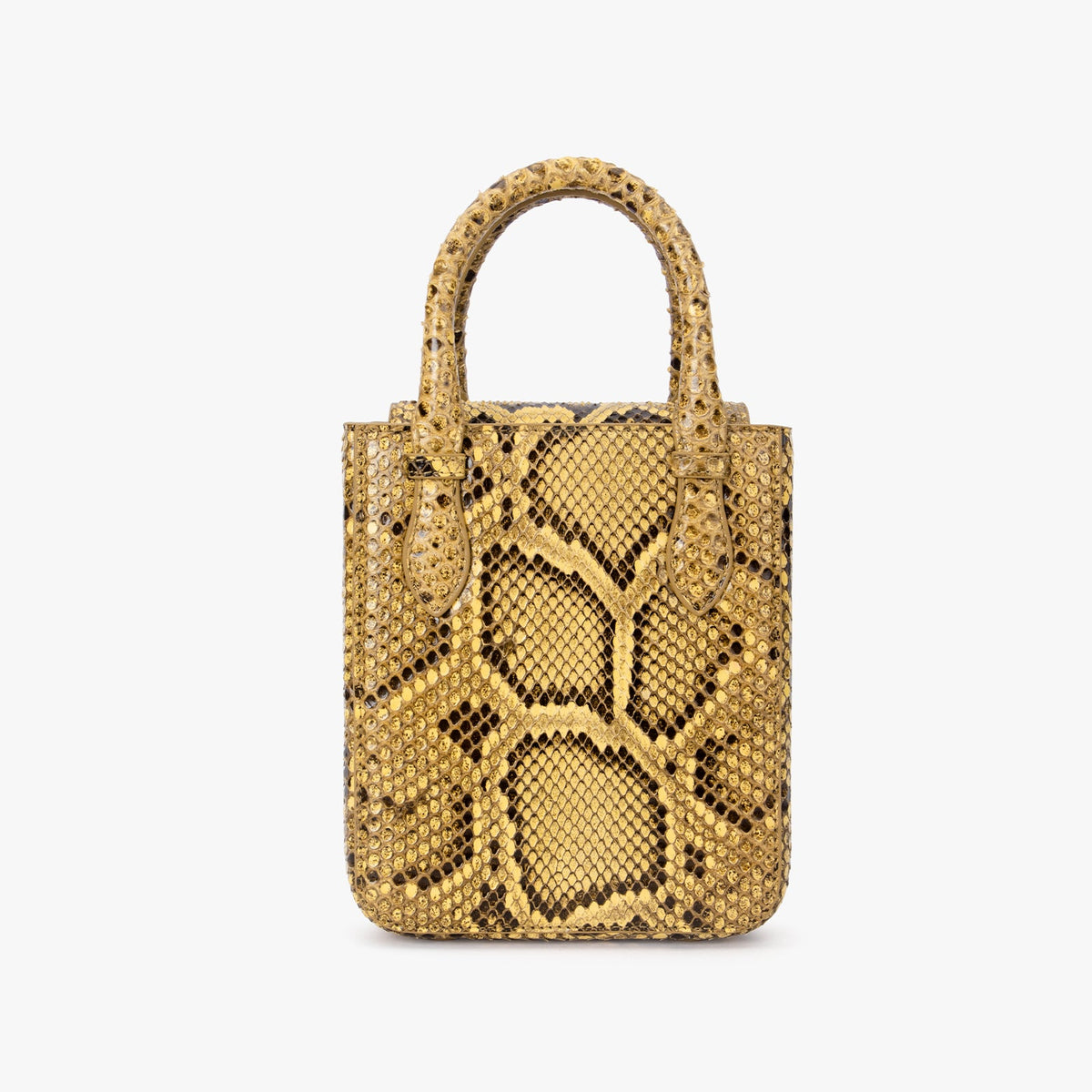 Luxury Python Skin Aieda Bag