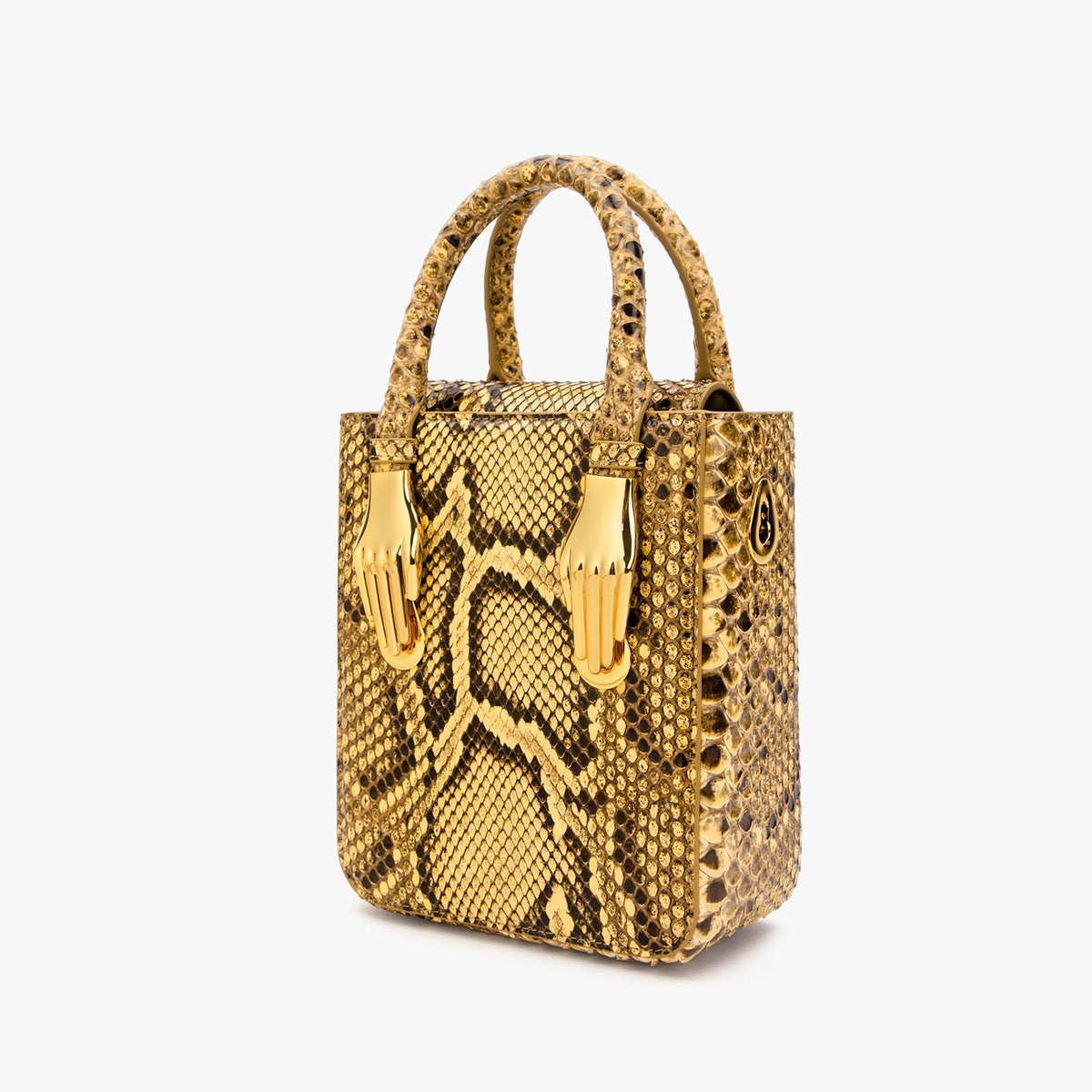 Luxury Python Skin Aieda Bag