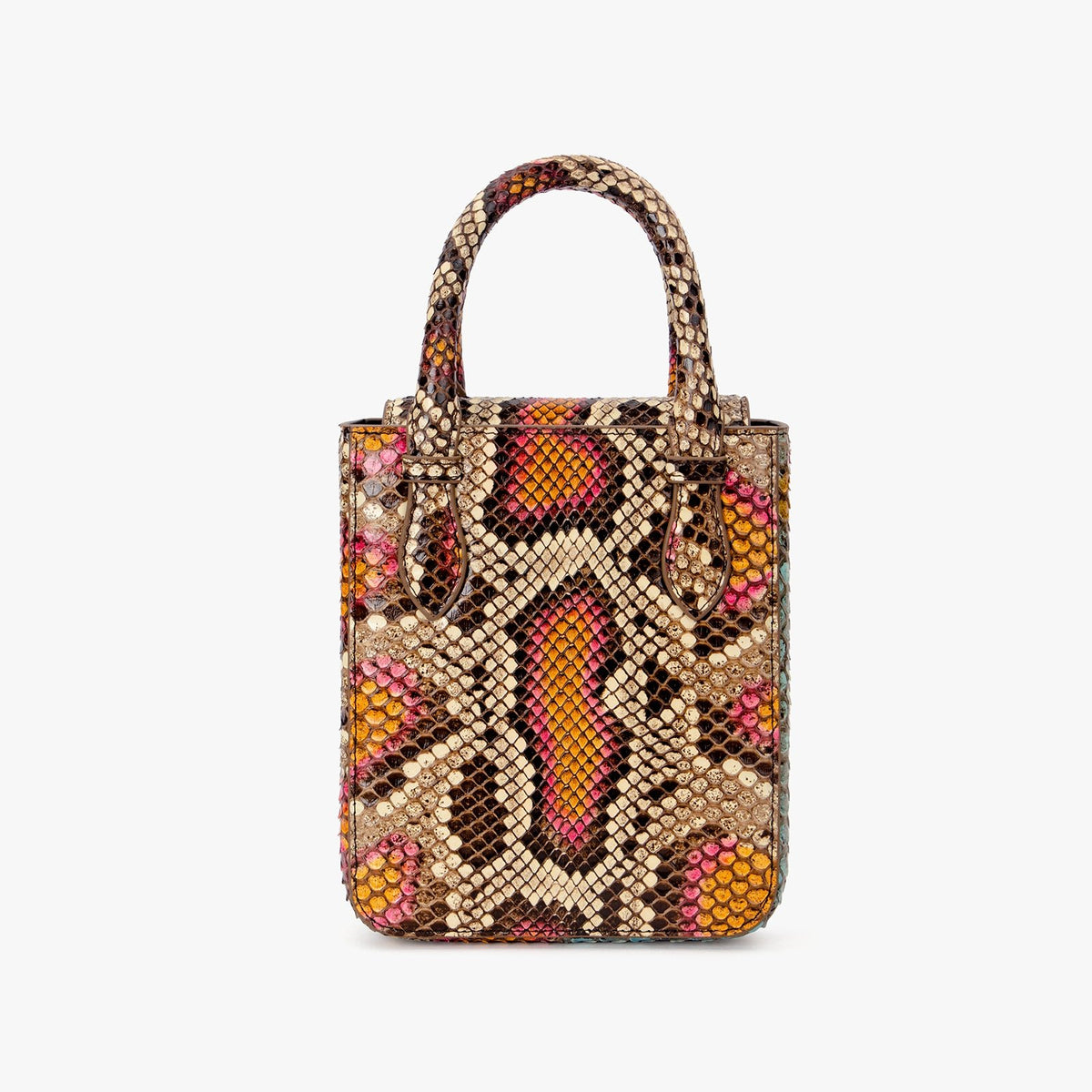 Colorful Luxury Python Skin Aieda Bag