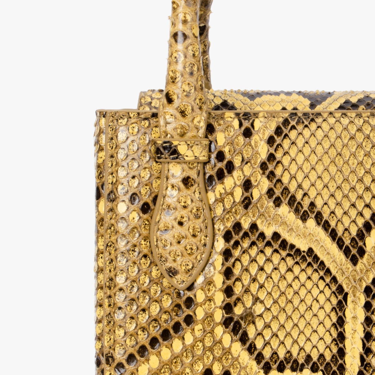 Luxury Python Skin Aieda Bag