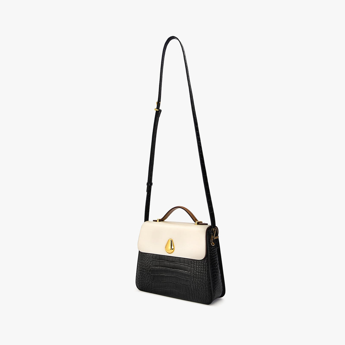 Chameleon Bag
