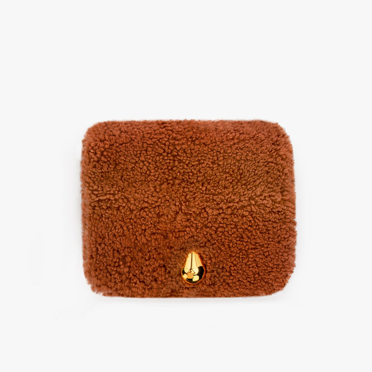 Mini Chameleon Bag
