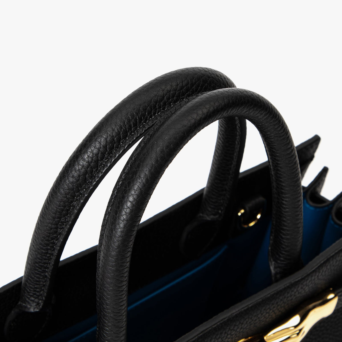 Sac De Jour Structured Bag