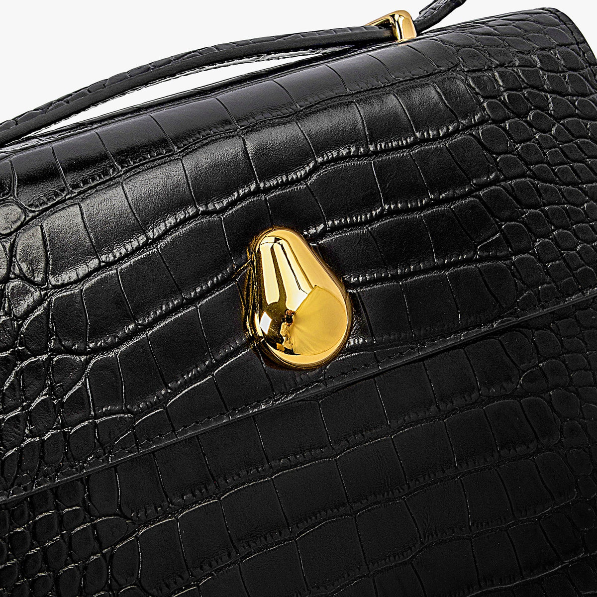 Chameleon Bag