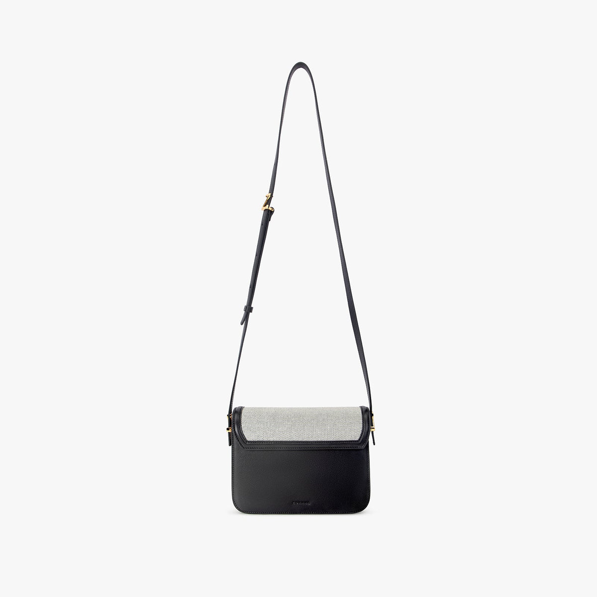 Mini Chameleon Bag